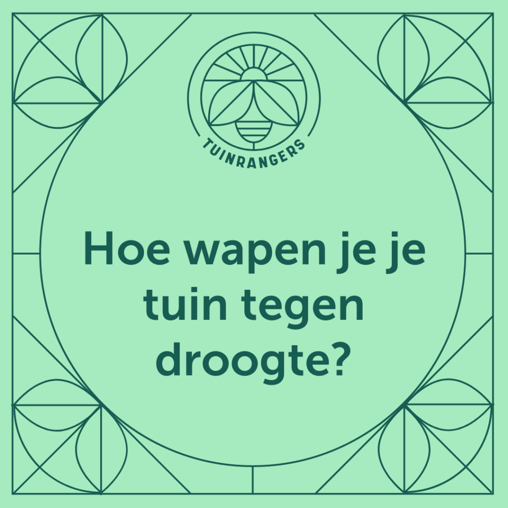 Gemeente HerkdeStad Radio Demerstad